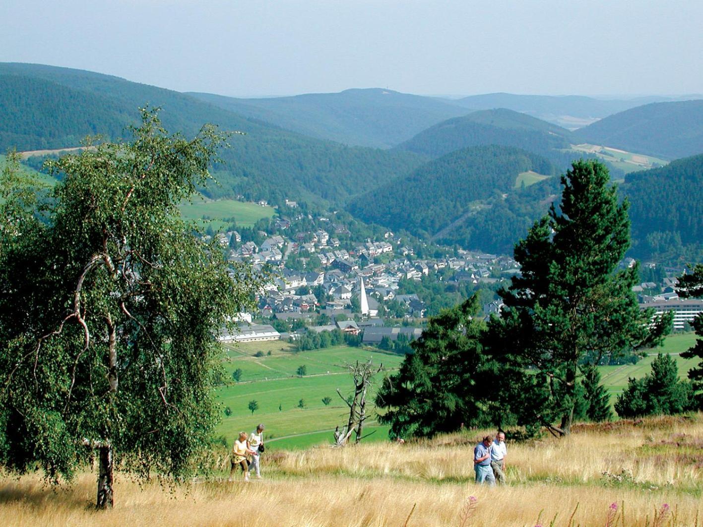 דירות וילינגן Friends & Family Domizil Willingen מראה חיצוני תמונה